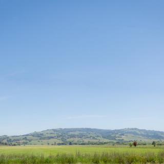 A serene landscape featuring open fields, distant hills, and a clear blue sky.