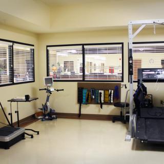 A well-equipped fitness room featuring a treadmill and stationary bike.