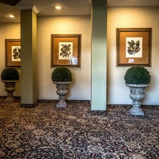 A hallway featuring framed botanical artwork and decorative planters on a patterned carpet.