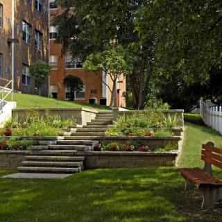 A serene garden setting with steps leading through lush greenery and benches for relaxation.