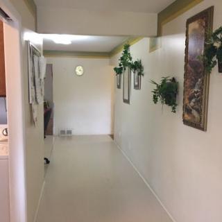 A bright hallway decorated with plants and paintings on the walls.