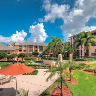 A luxurious tropical resort with palm trees and vibrant outdoor spaces under a bright blue sky.