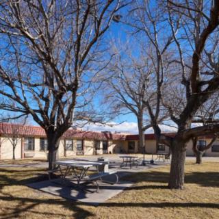 A school courtyard with benches and leafless trees under a clear blue sky.