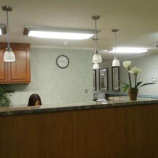 A reception desk with overhead lighting and decorative plants.