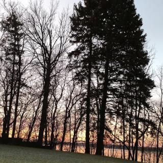 A serene sunset view over a tranquil body of water, framed by the silhouettes of trees.