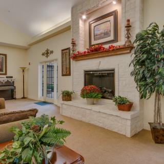 A cozy living room with a fireplace, decorative plants, and elegant furnishings.