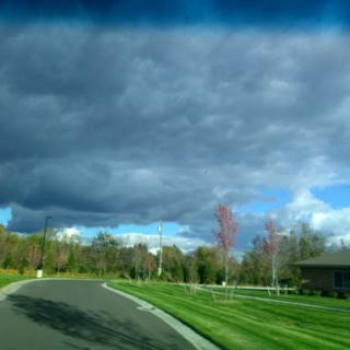 A winding road surrounded by lush greenery under a dramatic sky.