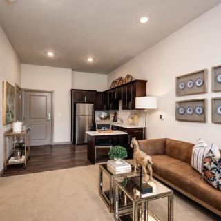 A modern apartment interior featuring an open-plan living room and kitchen with stylish decor.