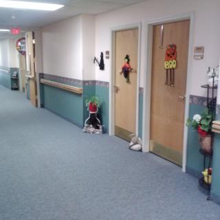 A hallway with decorated doors and soft lighting in a building interior.