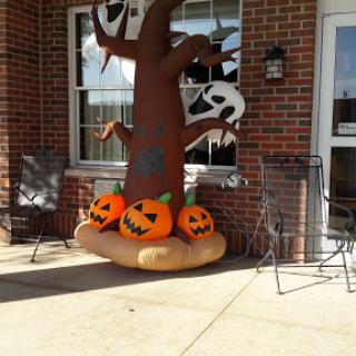 A festive Halloween display featuring a spooky tree and vibrant pumpkins.