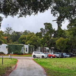 A serene view of a road lined with trees and parked vehicles, set against a cloudy sky.