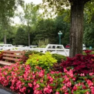 A tranquil park scene with colorful flowers and a wooden bench under the shade of tall trees.