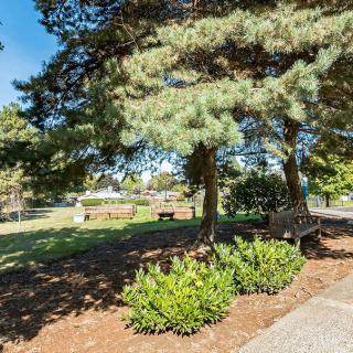 A peaceful park scene with benches under tall trees and a scenic pathway.
