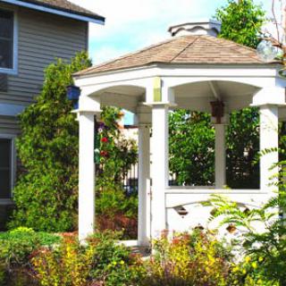 A serene gazebo surrounded by lush greenery and vibrant plants.