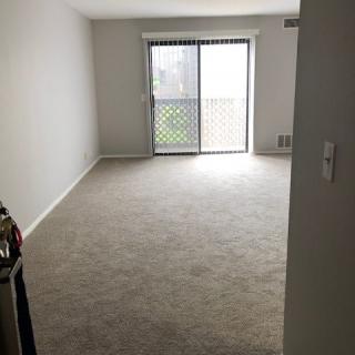 An empty room with a carpeted floor and sliding glass door leading to an outdoor area.