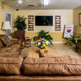 A cozy living room with comfortable sofas, a television, and decorative plants.