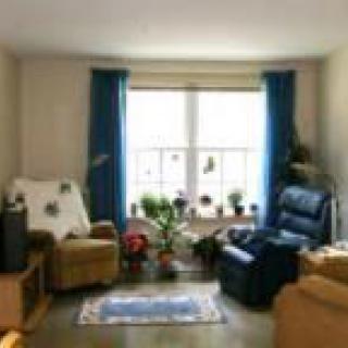 A cozy living room with comfortable chairs and various plants near a large window.
