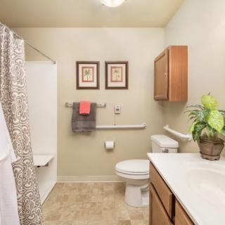 A well-organized bathroom featuring a shower, toilet, and sink with wooden cabinets and decorative elements.