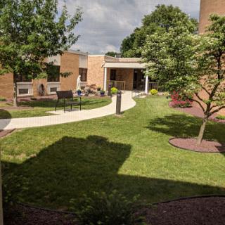 A serene garden area featuring a winding pathway and well-maintained greenery.