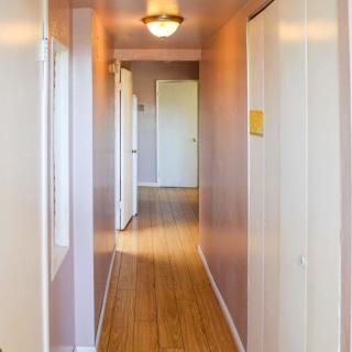 A bright hallway with wooden flooring and multiple doors.