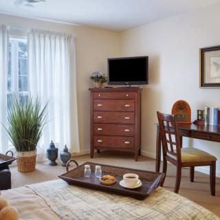 A cozy bedroom with a dresser, desk, and wall-mounted TV, complemented by a potted plant and natural light.