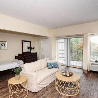 Cozy living room with a sofa, round coffee tables, and large windows providing natural light.