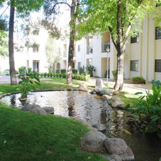 A peaceful outdoor view of an apartment complex featuring a small pond surrounded by lush greenery and trees.