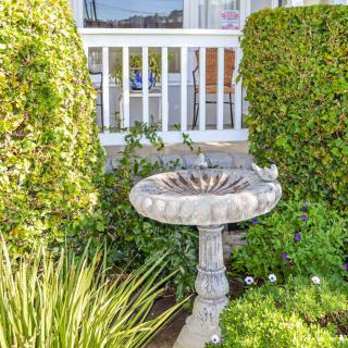 A birdbath surrounded by lush greenery and hedges in a garden setting.