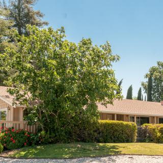 A suburban house with a large tree in the yard under a clear blue sky.