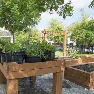 A beautifully arranged garden area with wooden planter boxes and lush greenery.