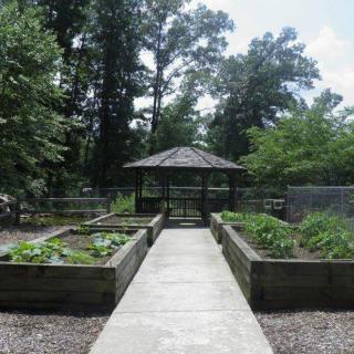 A serene garden with a central pathway leading to a gazebo surrounded by lush vegetation.