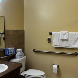 Accessible bathroom with a toilet, sink, handrail, and neatly arranged towels.