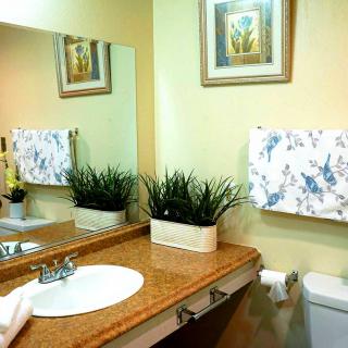A neatly decorated bathroom with a sink, mirror, and plant decor.