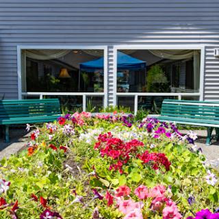 A vibrant floral garden with colorful flowers in front of a building featuring large windows and outdoor benches.