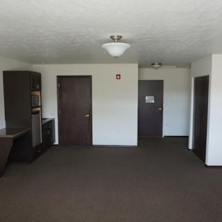 An empty apartment interior with carpeted flooring, featuring two doors and a ceiling light fixture.