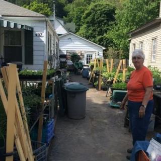 A person stands in a garden area between houses, surrounded by various plants and gardening supplies.