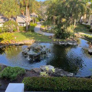 A serene view of a beautifully landscaped pond surrounded by lush greenery and residential structures.