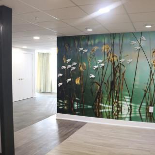 A modern hallway featuring a nature-themed wall mural with fish and plants.