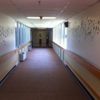 A quiet hospital hallway with windows along one side and handrails on both sides.