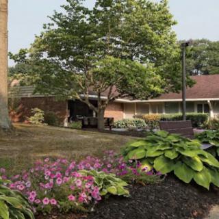 A serene garden landscape with vibrant flowers and lush greenery in front of a building.