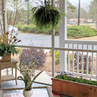 A cozy porch with a variety of plants and flowers, featuring a hanging plant, potted plant, and rectangular planter.