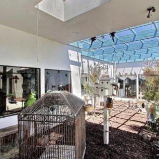 A sunny patio with a birdcage, surrounded by plants and outdoor furniture.