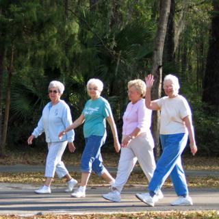 A group of seniors enjoying a walk outdoors.