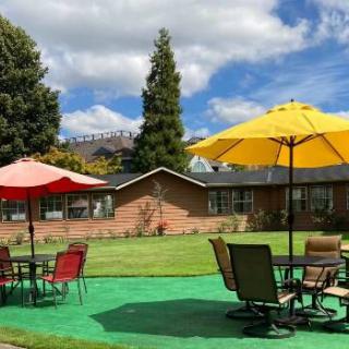 A sunny garden patio with colorful umbrellas and seating arrangements.