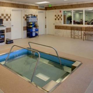 An indoor therapy pool in a rehabilitation facility, designed for water therapy sessions.
