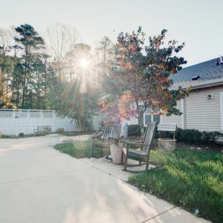 A peaceful backyard with sunlight streaming through the trees.