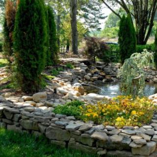 A beautifully landscaped garden featuring a pond surrounded by a stone wall and lush greenery.