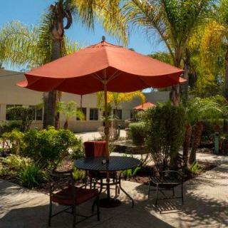 A sunny patio with a table and chairs shaded by an umbrella, surrounded by palm trees.