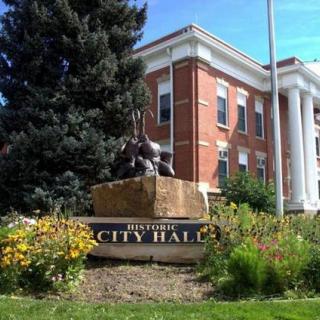 A view of a city hall building with a statue and landscaped garden.