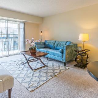 A cozy living room with a blue sofa, coffee table, and a patterned rug.